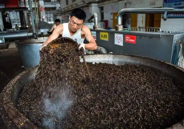 温文儒雅六轮次——茅台酒传统酿造工艺影像探秘之九_车间
