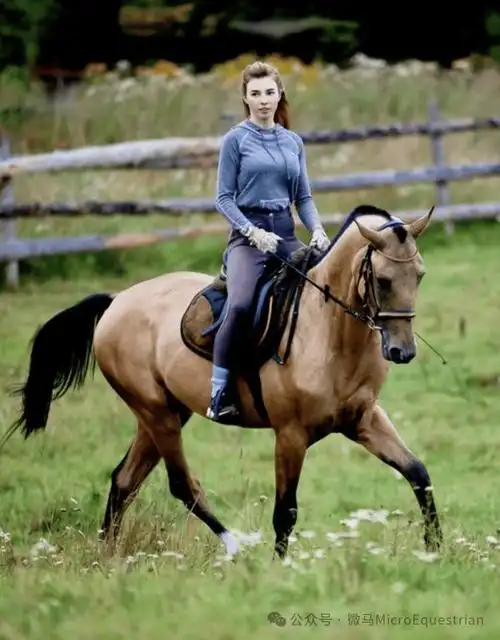 汗血宝马身上的十件怪事