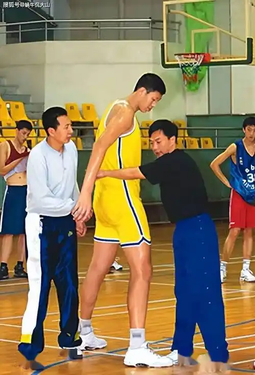 cba最高的球员,因表现太差被队友打出血,和娇妻相差49厘米_孙明明