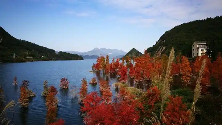 午风景|快来看 黄岩长潭水库"火"了