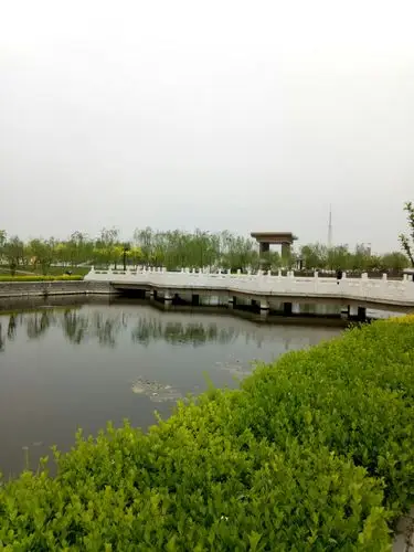 龙港公园风景美如画