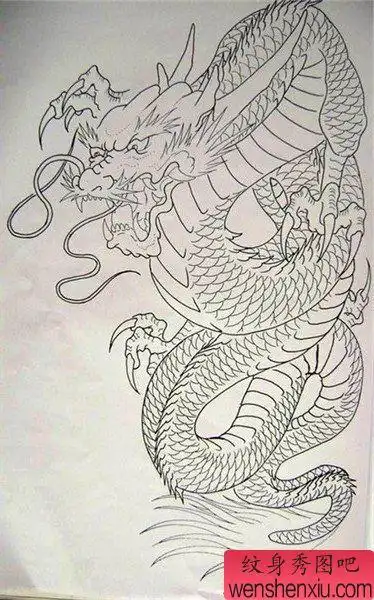 过肩龙纹身图案_过肩龙纹身图片_披肩龙纹身图案大全_第7页 - 纹身秀