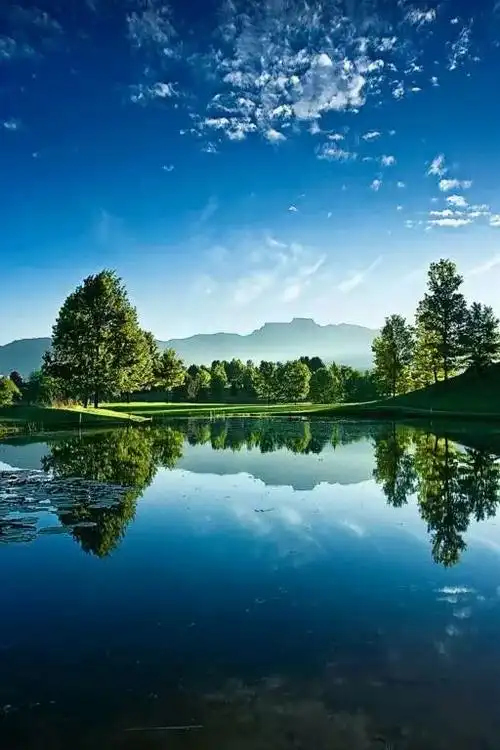 山青水秀……鸟语花香……似人间仙境