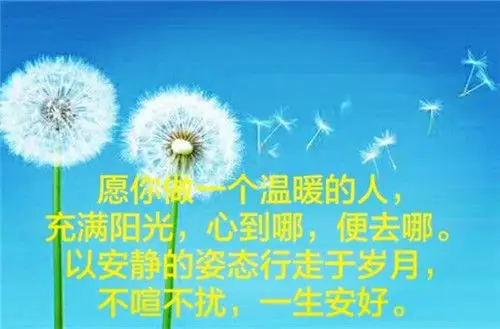 人生哲理经典文字图片_人生有太多的身不由己