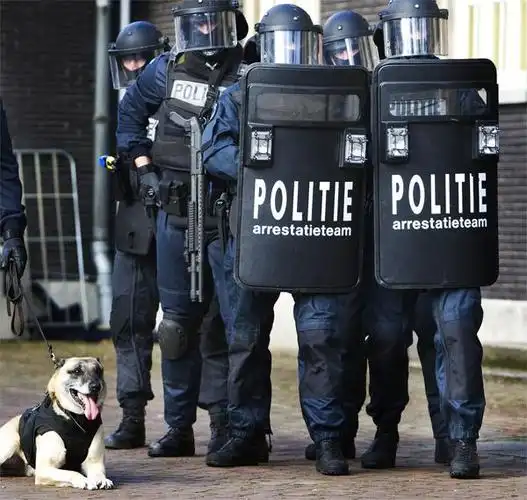 警用盾牌上policeshieldspartⅠ