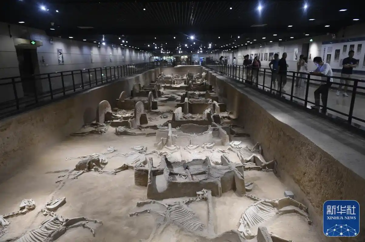 洛阳周王城天子驾六博物馆