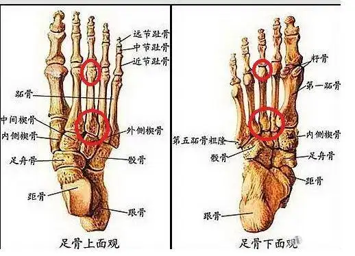 右脚中指走路时疼1年