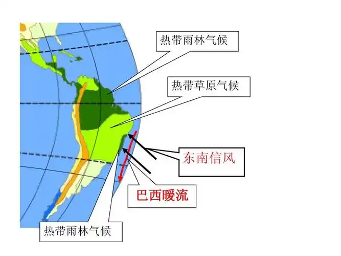热带雨林气候 热带草原气候 东南信风 巴西暖流 热带雨林气候