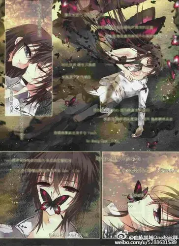 那年 我喜欢上了《血族禁域》