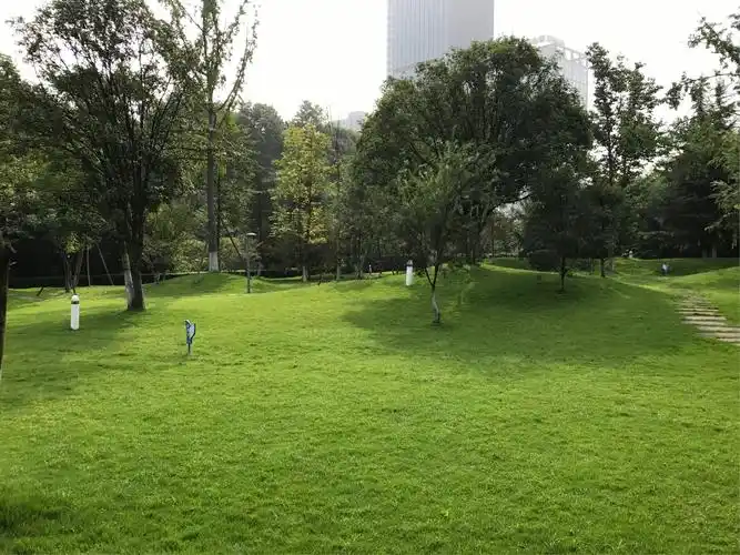 草坪绿得冒油,这是拍摄婚纱照的绝佳选择地.