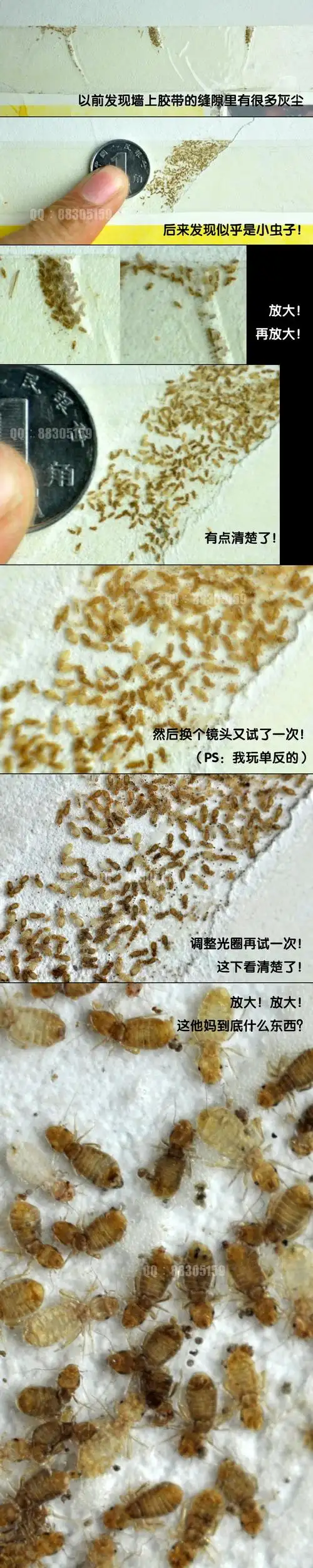 数:0获赞数:3221lv7 擅长:暂未定制 向ta提问私信ta  展开全部 书虱