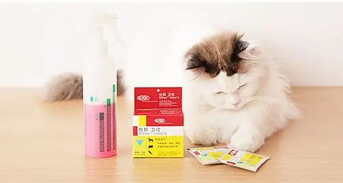 杜邦卫可被猫舔了