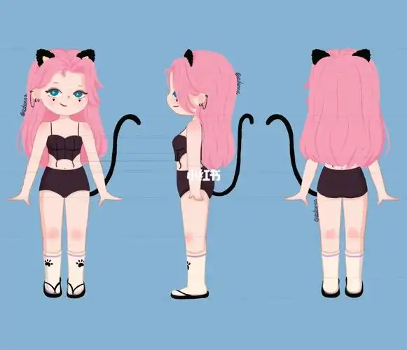 小猫女三视图来啦