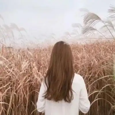 背影头像,不乱于世,不困于情_搜狐汽车_搜狐网