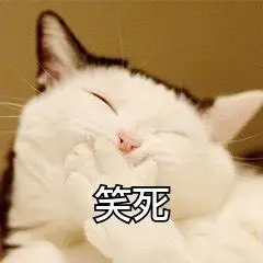 萌宠 猫星人 笑死 哈哈哈 呆萌 可爱