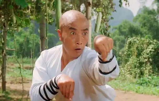 太极宗师演员现状有人成56亿大导有人菜场卖鱼有人猝死家中