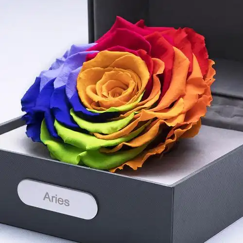 roselove永生花星座守护色-白羊座