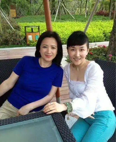 原创56岁何晴罕见露面,皱纹虽爬上了脸,却是另一种典雅端庄的美!