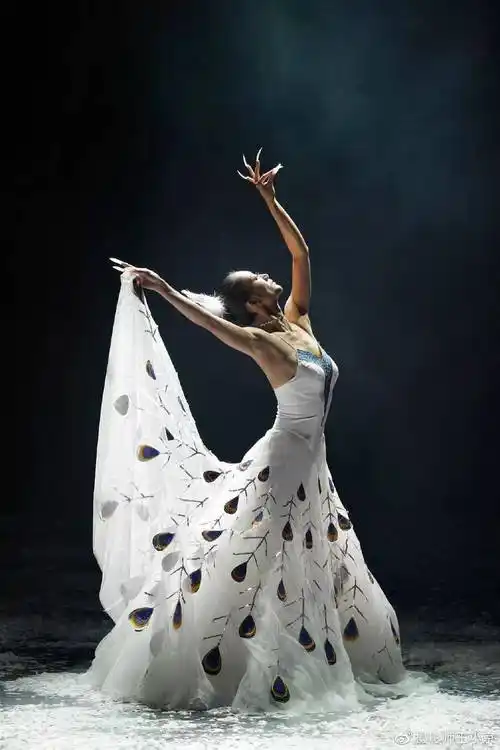 杨丽萍云南映象在国家大剧院上演第6000场纪念版演出摄影师王小京