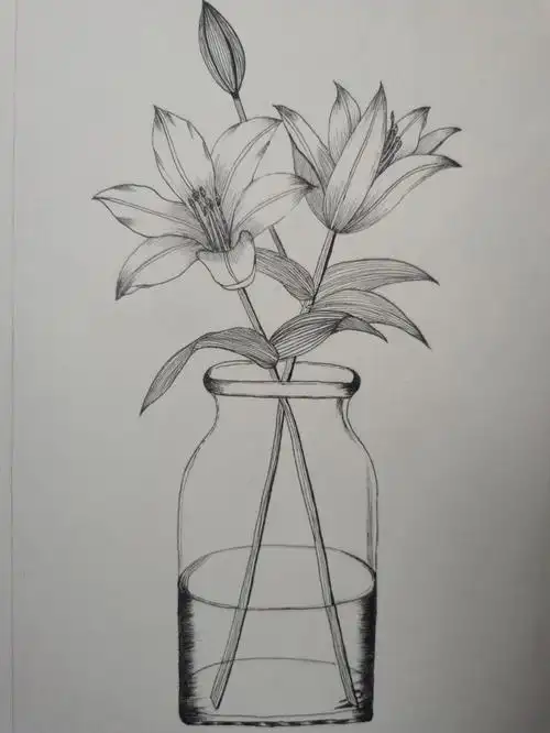 自学画画,爱好画画,植物线稿控笔第1天,百合花临摹@hope学画画很喜欢
