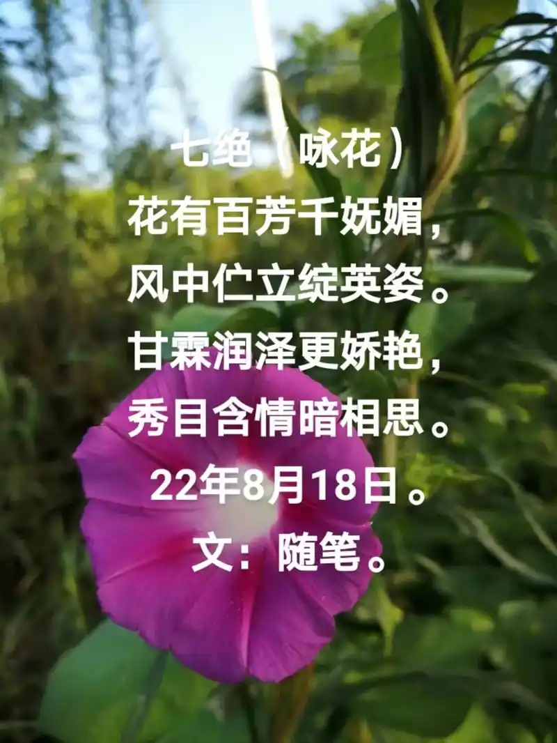 真正爱一个人总是为对方着想,无论在吃饭,穿衣,花钱上,而不是 - 抖音