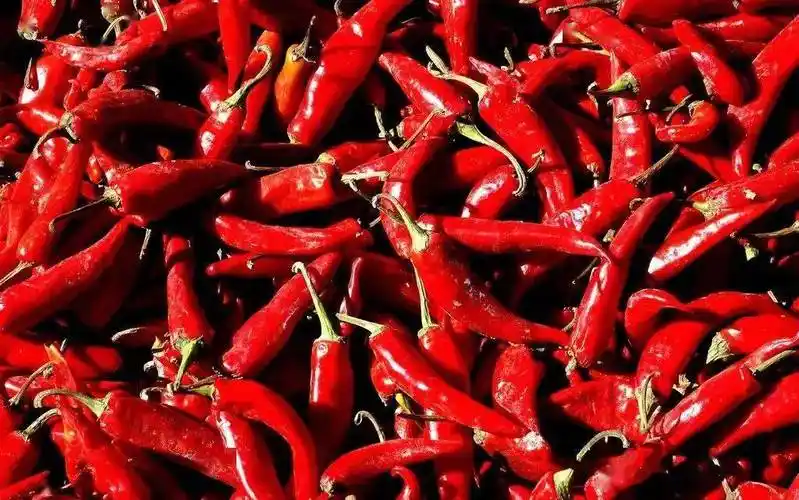 耀州辣椒丨杨五贵_辣子