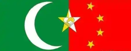 新华社驻巴基斯坦分社的当地报道员齐尚说,"中国""中巴友谊"的概念