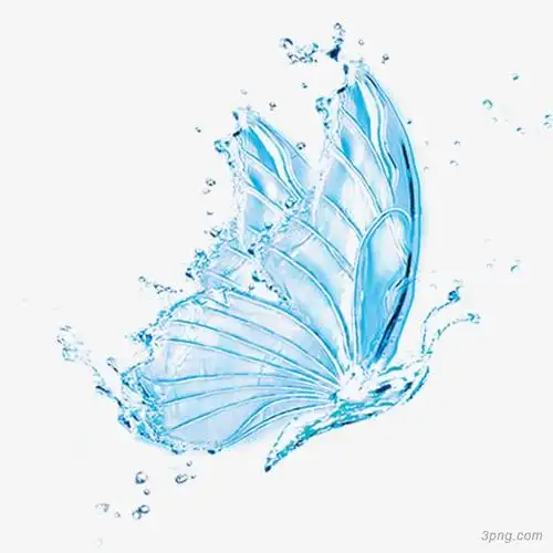 蝴蝶形状水珠png素材透明免抠图片-装饰效果