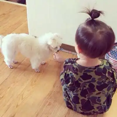 宝宝头像 by:牙牙 ()