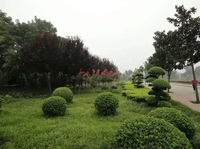 洛阳隋唐遗址植物园