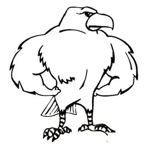 卡通老鹰简笔画图片:强壮的老鹰