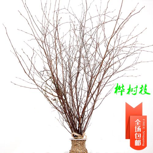 桦树枝干树枝树装饰幼儿园环手工材料松果麻绳木片仿真花干花茶几