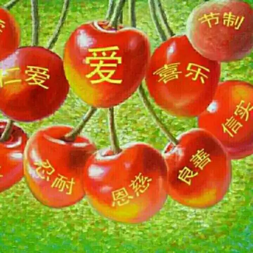 新年到新年好 基督教诗歌【原版c调有旋律】