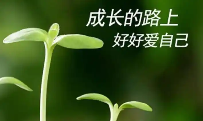 成长作文600字初中