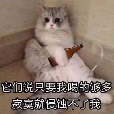 可爱猫带字头像图片高清超萌可爱猫咪带文字
