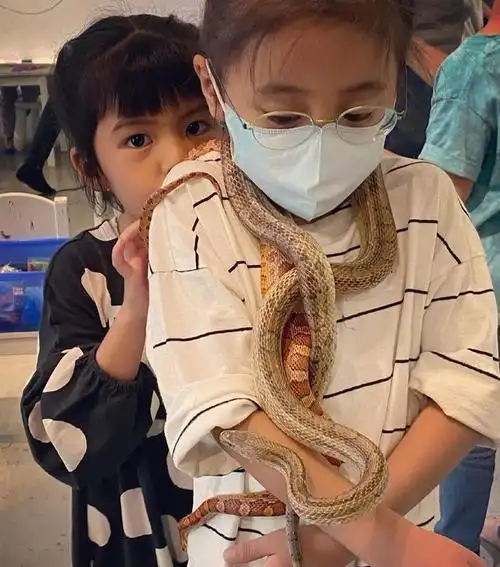 组图有其母必有其女贾静雯曝咘咘脖子上挂两条蛇超淡定