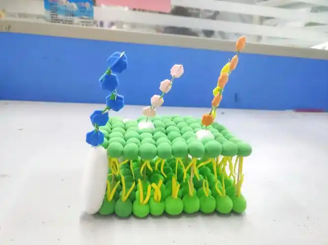 生物模型手工制作 废物利用制作生物模型 - 汽车时代网