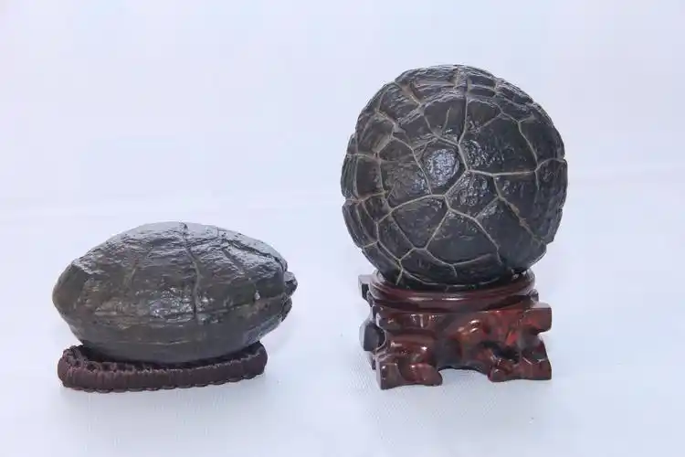 宜章墨玉,龟纹石等奇石珍宝精彩亮相第三届中国(湖南)国际矿物宝石