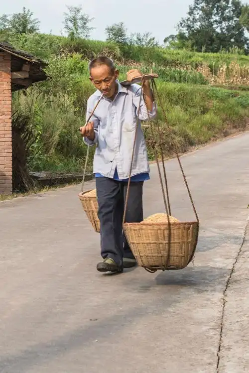 为什么长期挑担子的农户感觉很轻松,从来没有挑过的感觉很吃力?