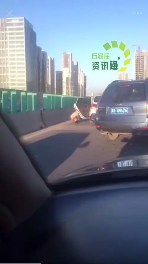 刷三观!石家庄一男子和平路高架上脱裤子大便
