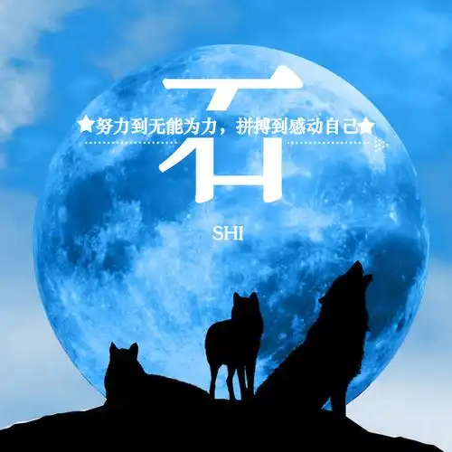 编号2025微信头像姓氏头像夜空中的狼
