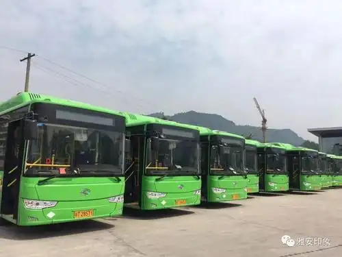 雅安新公交有个小秘密只告诉你哟