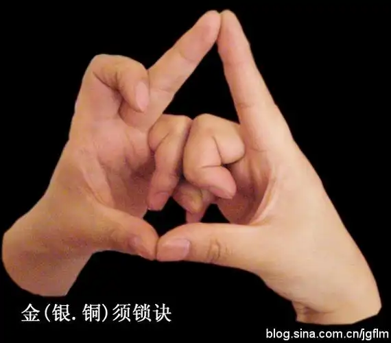 《万宝灵集》之手诀辑要