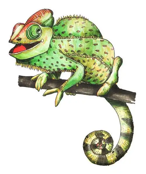 变色龙摘自7天学会马克笔