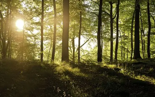 双屏壁纸壁纸图片