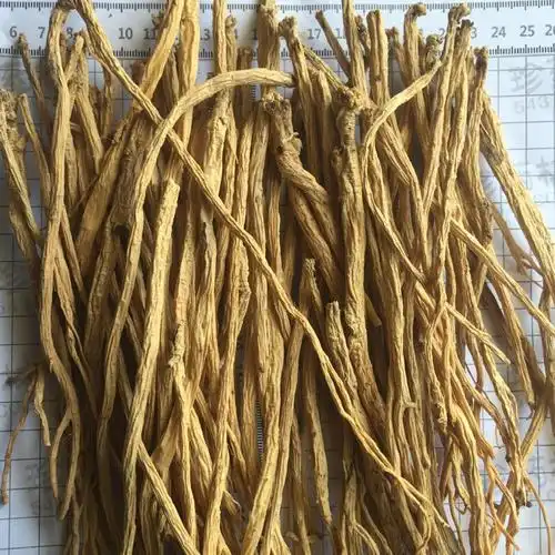 党参纹党中条 甘肃渭源