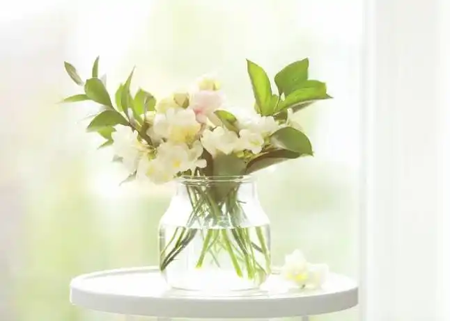 干净透彻极致的图片,唯美意境图片清新淡雅