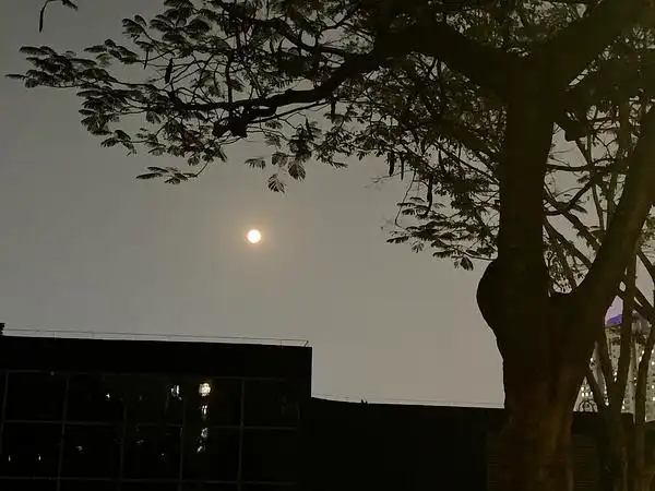 建议大家在晴天的晚上欣赏一下月亮