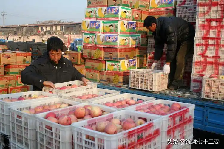 成都水果批发市场进货渠道水果批发市场进货渠道app
