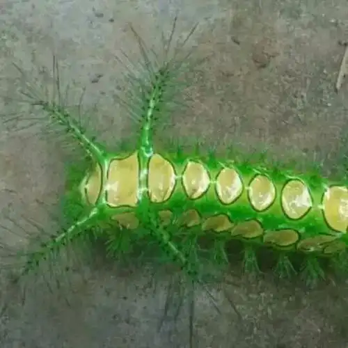 分钟前我答复你要采纳 分类:理工学科| 浏览 6 次来自:手机知道 生活